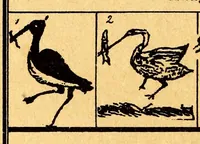 An illustration from Führer für sammler von Porzellan und Fayence, Steinzeug, Steingut usw : Vollständiges Verzeichnis der auf älterem Porzellan, Fayence, Steingut usw. befindlichen Marken (1919)