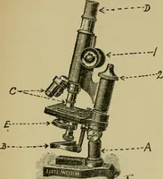 An illustration from Fibres for fabrics (1908)