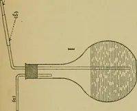 An illustration from Fibres for fabrics (1908)