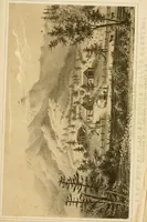 An illustration from Fibrilia: a practical and economical substitute for cotton ... Together with a history of the growth and manufacture of wool, cotton, flax, etc., in Europe and America. With illustrations from microscopical examinations (1861)