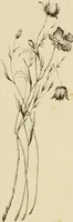 An illustration from Fibrilia: a practical and economical substitute for cotton ... Together with a history of the growth and manufacture of wool, cotton, flax, etc., in Europe and America. With illustrations from microscopical examinations (1861)
