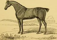 An illustration from The field book : or, Sports and pastimes of the United kingdom ; compiled from the best authorities, ancient and modern (1833)
