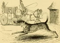 Picture 35 of 148 from The field book : or, Sports and pastimes of the United kingdom ; compiled from the best authorities, ancient and modern (1833), leaf 164
