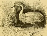 An illustration from The field book : or, Sports and pastimes of the United kingdom ; compiled from the best authorities, ancient and modern (1833)