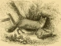 An illustration from The field book : or, Sports and pastimes of the United kingdom ; compiled from the best authorities, ancient and modern (1833)