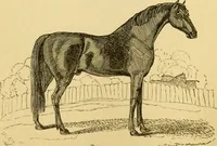 An illustration from The field book : or, Sports and pastimes of the United kingdom ; compiled from the best authorities, ancient and modern (1833)