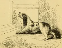 An illustration from The field book : or, Sports and pastimes of the United kingdom ; compiled from the best authorities, ancient and modern (1833)