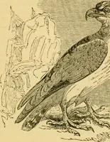 An illustration from The field book : or, Sports and pastimes of the United kingdom ; compiled from the best authorities, ancient and modern (1833)
