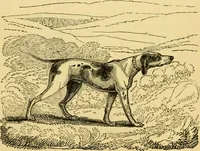An illustration from The field book : or, Sports and pastimes of the United kingdom ; compiled from the best authorities, ancient and modern (1833)