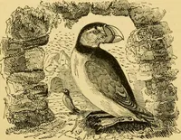 Picture 100 of 148 from The field book : or, Sports and pastimes of the United kingdom ; compiled from the best authorities, ancient and modern (1833), leaf 423