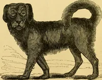 An illustration from The field book : or, Sports and pastimes of the United kingdom ; compiled from the best authorities, ancient and modern (1833)