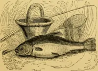 An illustration from The field book : or, Sports and pastimes of the United kingdom ; compiled from the best authorities, ancient and modern (1833)
