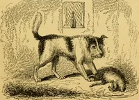 An illustration from The field book : or, Sports and pastimes of the United kingdom ; compiled from the best authorities, ancient and modern (1833)