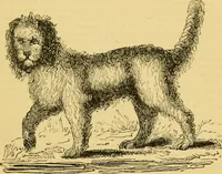 An illustration from The field book : or, Sports and pastimes of the United kingdom ; compiled from the best authorities, ancient and modern (1833)