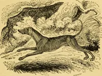 An illustration from The field book : or, Sports and pastimes of the United kingdom ; compiled from the best authorities, ancient and modern (1833)