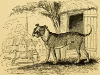 An illustration from The field book : or, Sports and pastimes of the United kingdom ; compiled from the best authorities, ancient and modern (1833)