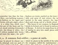 An illustration from The field book; or, Sports and pastimes of the United kingdom; comp. from the best authorities, ancient and modern (1833)
