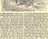 An illustration from The field book : or sports and pastimes of the British islands