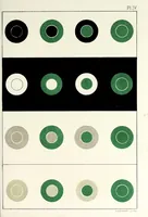 An illustration from Field's Chromatography : a treatise on colours and pigments for the use of artists (1885)