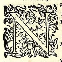 Picture 23 of 37 from Fiesole distrutta (1621), leaf 110