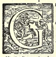Picture 28 of 37 from Fiesole distrutta (1621), leaf 140