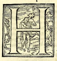 Picture 34 of 37 from Fiesole distrutta (1621), leaf 181