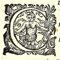 An illustration from Fiesole distrutta (1621)