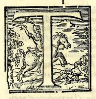 Picture 22 of 37 from Fiesole distrutta (1621), leaf 97
