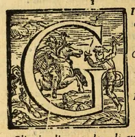 Picture 23 of 33 from Fiesole distrvtta (1621), leaf 140