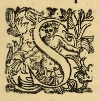 An illustration from Fiesole distrvtta (1621)