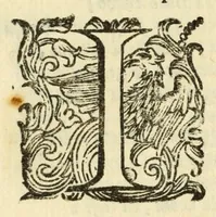 Picture 27 of 33 from Fiesole distrvtta (1621), leaf 174