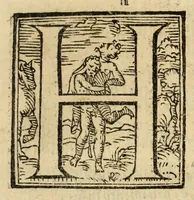 Picture 29 of 33 from Fiesole distrvtta (1621), leaf 181