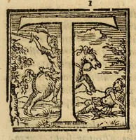 An illustration from Fiesole distrvtta (1621)