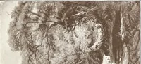 An illustration from Illustrated catalogue of the fifth series of 100 paintings by old masters of the Dutch, Flemish, Italian, French, and English schools : being a portion of the Sedelmeyer Gallery which contains about 1500 original pictures by ancient and modern artists (1899)