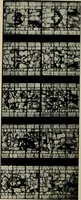 An illustration from Fifteenth-century glass in the chancel window of St. Peter Mancroft, Norwich (1911)