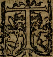 Picture 13 of 48 from Fiftie godlie and learned sermons, divided into five decades : containing the chiefe and principall points of Christian religion, written in three seuerall tomes or sections, (1587), leaf 119