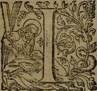 An illustration from Fiftie godlie and learned sermons, divided into five decades : containing the chiefe and principall points of Christian religion, written in three seuerall tomes or sections, (1587)