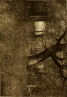 An illustration from Fifty paintings by George Inness (1913)