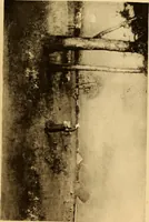 An illustration from Fifty paintings by George Inness (1913)