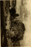 An illustration from Fifty paintings by George Inness (1913)