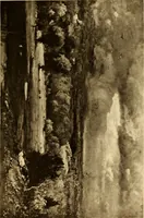 An illustration from Fifty paintings by George Inness (1913)