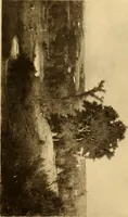 An illustration from Fifty paintings by George Inness (1913)