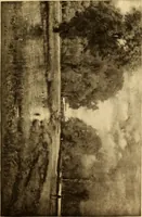 An illustration from Fifty paintings by George Inness (1913)