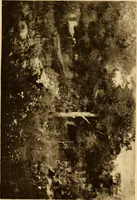 An illustration from Fifty paintings by George Inness (1913)