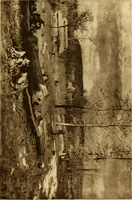 An illustration from Fifty paintings by George Inness (1913)
