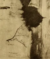 An illustration from Fifty paintings by George Inness (1913)