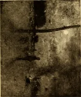 An illustration from Fifty paintings by George Inness (1913)