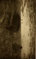An illustration from Fifty paintings by George Inness (1913)