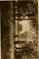 An illustration from Fifty paintings by George Inness (1913)