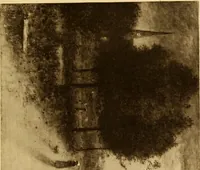 An illustration from Fifty paintings by George Inness (1913)